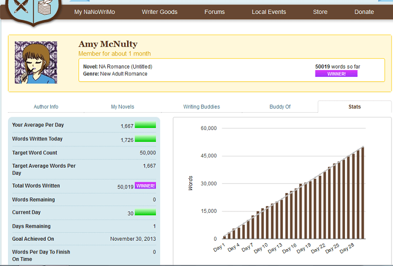nanowrimo progress